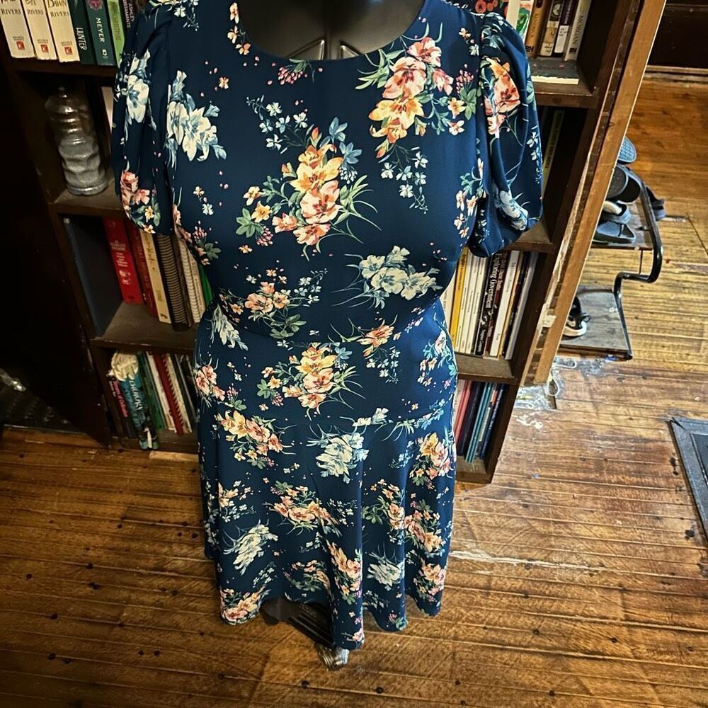 Loft fit & flare feminine elegant 0 blue floral dress